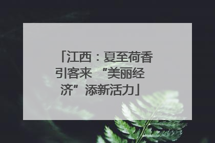 江西：夏至荷香引客来 “美丽经济”添新活力