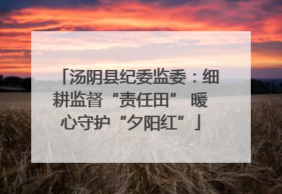 汤阴县纪委监委：细耕监督“责任田” 暖心守护“夕阳红”