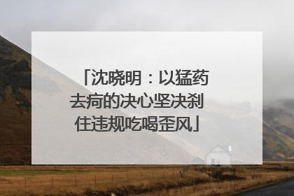 沈晓明：以猛药去疴的决心坚决刹住违规吃喝歪风