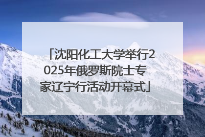 沈阳化工大学举行2025年俄罗斯院士专家辽宁行活动开幕式