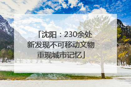 沈阳：230余处新发现不可移动文物重现城市记忆