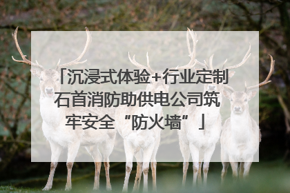 沉浸式体验+行业定制 石首消防助供电公司筑牢安全“防火墙”