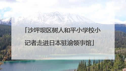 沙坪坝区树人和平小学校小记者走进日本驻渝领事馆