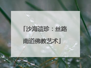 沙海遗珍：丝路南道佛教艺术