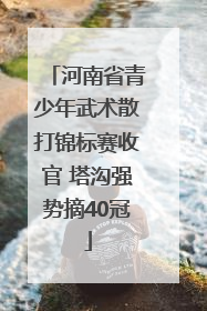 河南省青少年武术散打锦标赛收官 塔沟强势摘40冠
