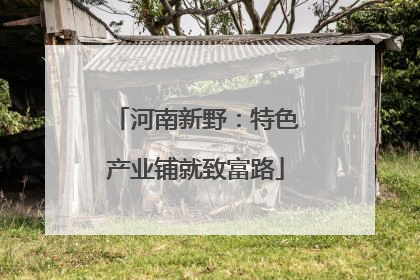 河南新野：特色产业铺就致富路