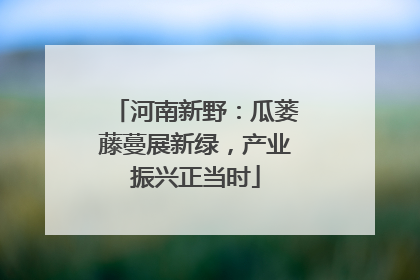 河南新野：瓜蒌藤蔓展新绿，产业振兴正当时