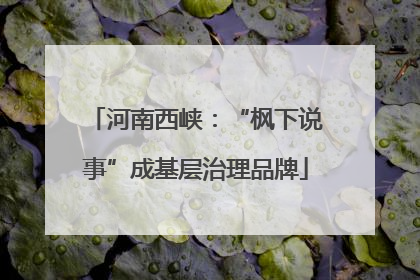 河南西峡：“枫下说事”成基层治理品牌