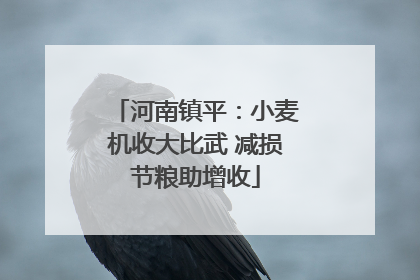 河南镇平：小麦机收大比武 减损节粮助增收