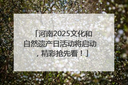 河南2025文化和自然遗产日活动将启动，精彩抢先看！