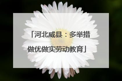 河北威县：多举措做优做实劳动教育