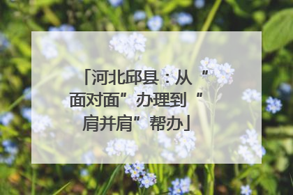 河北邱县：从“面对面”办理到“肩并肩”帮办
