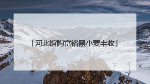 河北馆陶富铬黑小麦丰收