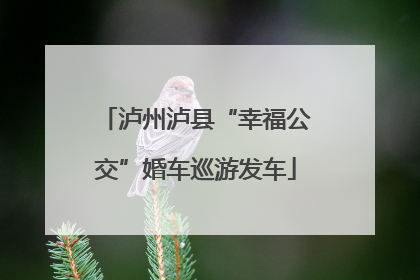 泸州泸县“幸福公交”婚车巡游发车