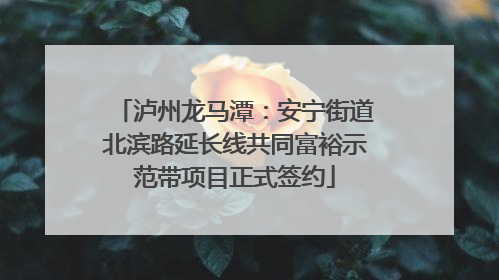 泸州龙马潭：安宁街道北滨路延长线共同富裕示范带项目正式签约
