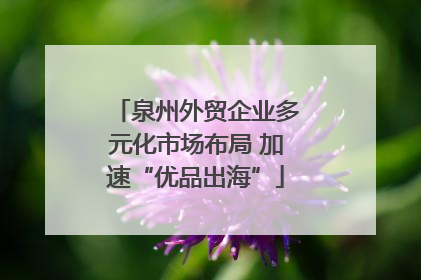 泉州外贸企业多元化市场布局 加速“优品出海”