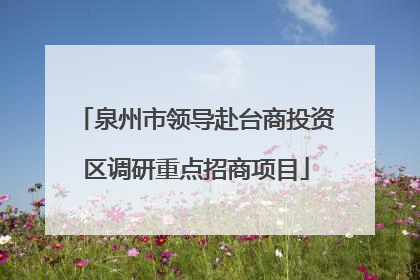 泉州市领导赴台商投资区调研重点招商项目