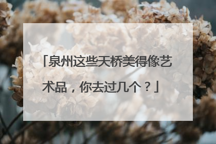 泉州这些天桥美得像艺术品，你去过几个？