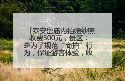 泰安岱庙内拍婚纱照收费300元，景区：是为了规范“商拍”行为，保证游客体验，收取费用全部上交国库