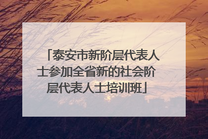 泰安市新阶层代表人士参加全省新的社会阶层代表人士培训班