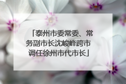 泰州市委常委、常务副市长沈峻峰跨市调任徐州市代市长