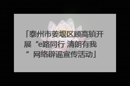 泰州市姜堰区顾高镇开展“e路同行 清朗有我”网络辟谣宣传活动