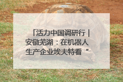 活力中国调研行｜安徽芜湖：在机器人生产企业埃夫特看“中国智造”