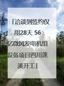 洽谈到签约仅用28天 56亿微风发电机组设备项目四川蓬溪开工