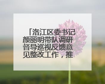 洛江区委书记颜丽明带队调研督导巡视反馈意见整改工作，推进生态环境保护建设