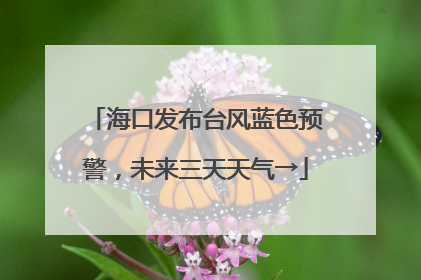 海口发布台风蓝色预警，未来三天天气→