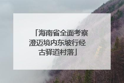 海南省全面考察澄迈境内东坡行经古驿道村落