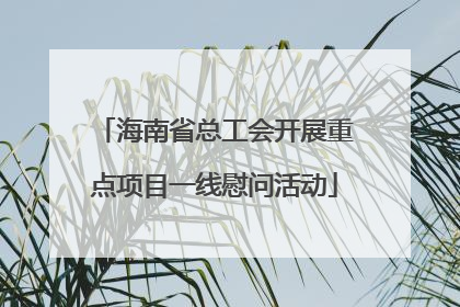 海南省总工会开展重点项目一线慰问活动