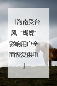 海南受台风“蝴蝶”影响用户全面恢复供电