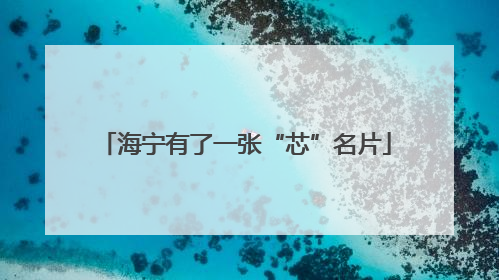 海宁有了一张“芯”名片