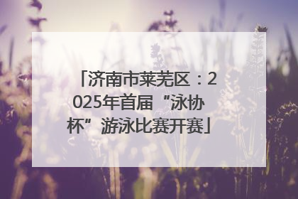 济南市莱芜区：2025年首届“泳协杯”游泳比赛开赛