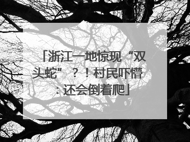 浙江一地惊现“双头蛇”？！村民吓懵：还会倒着爬