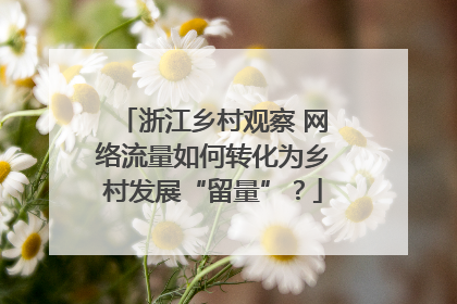 浙江乡村观察 网络流量如何转化为乡村发展“留量”？