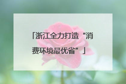 浙江全力打造“消费环境最优省”