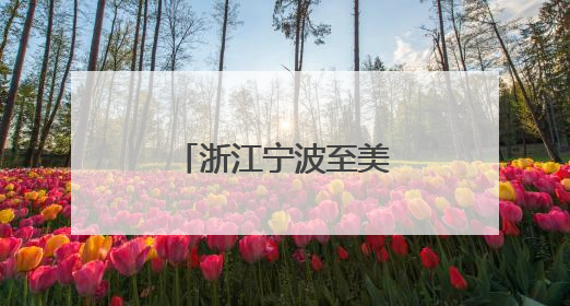 浙江宁波至美国洲际全货机航线正式复航