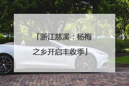 浙江慈溪：杨梅之乡开启丰收季