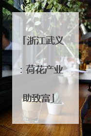 浙江武义：荷花产业助致富