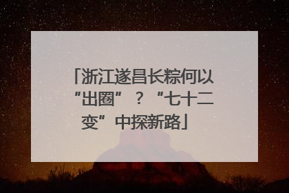 浙江遂昌长粽何以“出圈”？“七十二变”中探新路