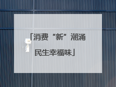 消费“新”潮涌 民生幸福味