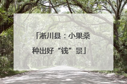 淅川县：小果桑种出好“钱”景