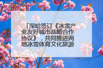 深哈签订《冰雪产业友好城市战略合作协议》，共同推进两地冰雪体育文化旅游高质量发展
