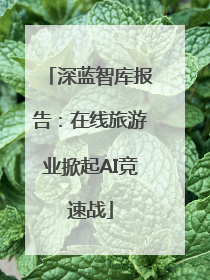 深蓝智库报告：在线旅游业掀起AI竞速战
