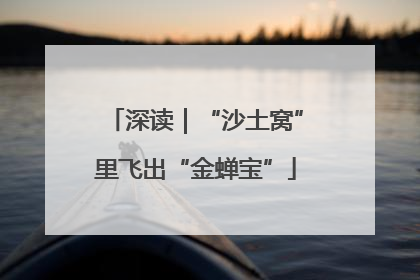 深读｜“沙土窝”里飞出“金蝉宝”