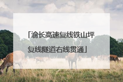 渝长高速复线铁山坪复线隧道右线贯通