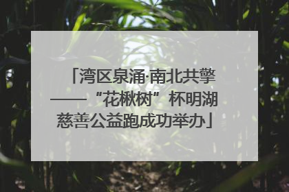 湾区泉涌·南北共擎——“花楸树”杯明湖慈善公益跑成功举办