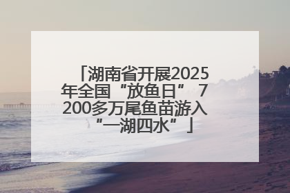 湖南省开展2025年全国“放鱼日” 7200多万尾鱼苗游入“一湖四水”